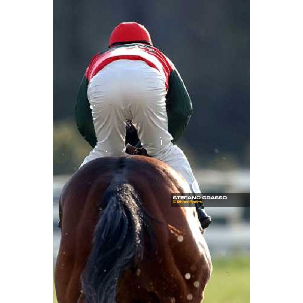 Pisa San Rossore race track march 10 2004 ph. Stefano Grasso
