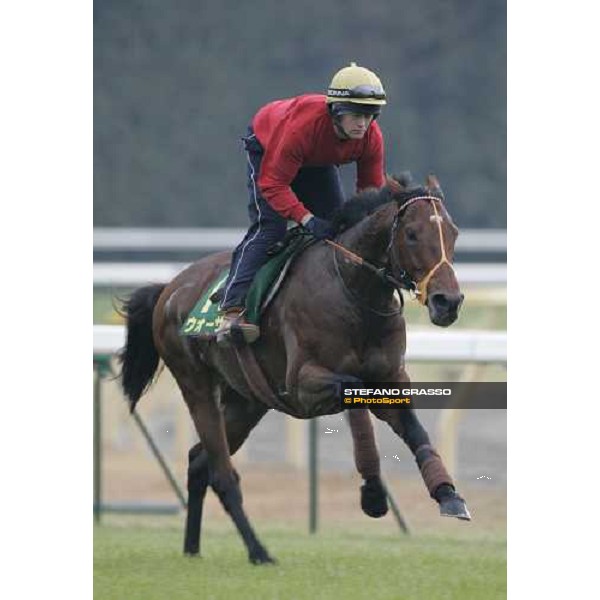 Warrsan during morning track works at Fuchu racetrack. Tokyo, 23rd november 2005 ph. Stefano Grasso