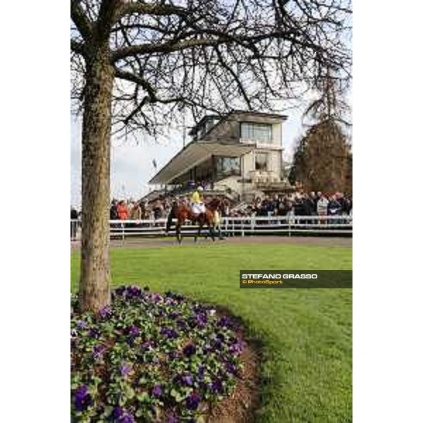 Premio Apertura Milan,San Siro galopp racecourse 13rd march 2016 ph.@ Stefano Grasso