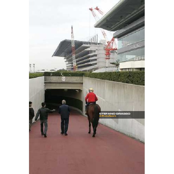 Clive Brittain and Warrsan enter under the tunnel to cross the track and go to morning track works at Fuchu racetrack. Tokyo, 23rd november 2005 ph. Stefano Grasso