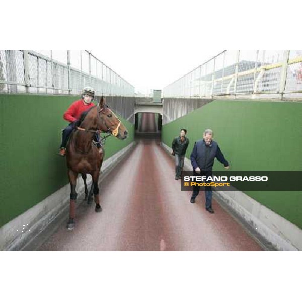 Warrsan and Clive Brittain exit from the tunnel to go to morning track works at Fuchu racetrack. Tokyo, 23rd november 2005 ph. Stefano Grasso