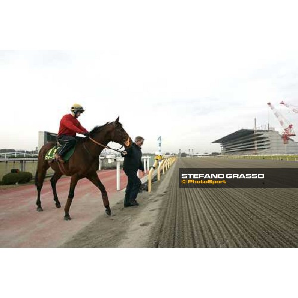 Clive Brittain with Warrsan enter in the track for morning track works at Fuchu racetrack. Tokyo, 23rd november 2005 ph. Stefano Grasso