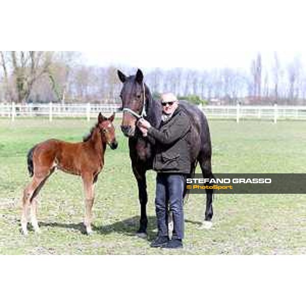Francesco Fraccari with Idea Bessi and Ale d\'Effe at Gardesana Stud Farm Sant\'Angelo di Piove di Sacco (PD),16th march 2016 ph.@ Stefano Grasso