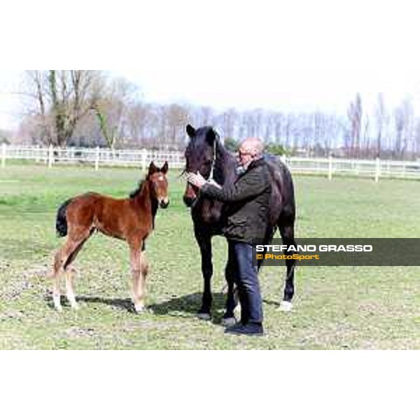 Francesco Fraccari with Idea Bessi and Ale d\'Effe at Gardesana Stud Farm Sant\'Angelo di Piove di Sacco (PD),16th march 2016 ph.@ Stefano Grasso