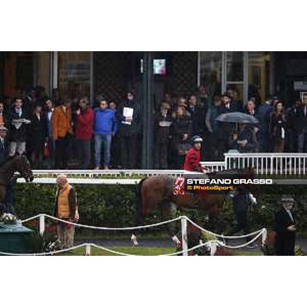 Luca Maniezzi on Nice Name winners of the 126° Premio Pisa Pisa San Rossore racetrack 20/03/2016 ph.© Stefano Grasso
