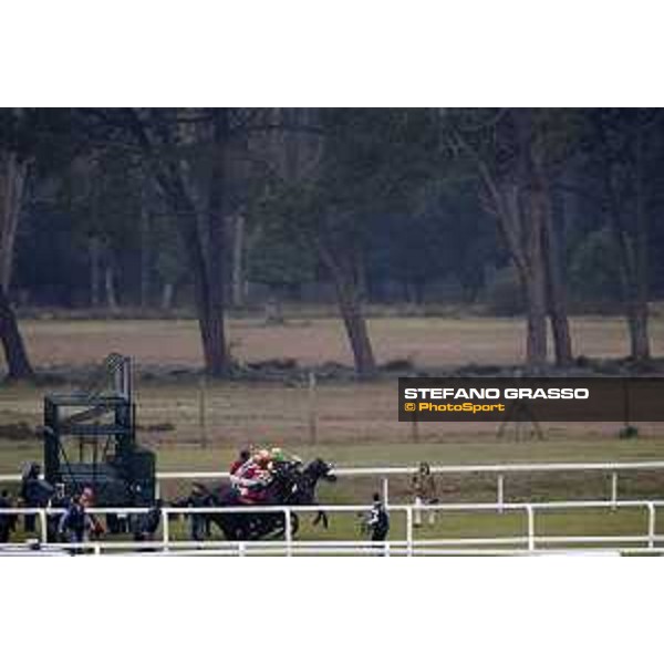 The start of the 126° Premio Pisa Pisa San Rossore racetrack 20/03/2016 ph.© Stefano Grasso