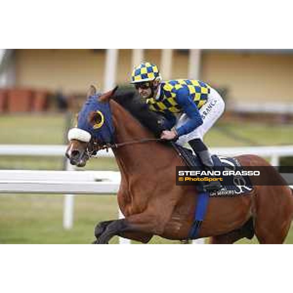 Fabio Branca and Shocking Blu win the 17° Premio Regione Toscana Pisa San Rossore racetrack 20/03/2016 ph.© Stefano Grasso