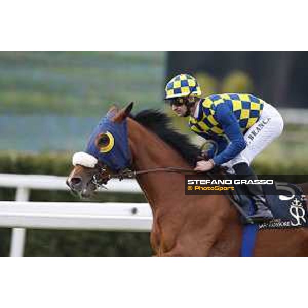 Fabio Branca and Shocking Blu win the 17° Premio Regione Toscana Pisa San Rossore racetrack 20/03/2016 ph.© Stefano Grasso