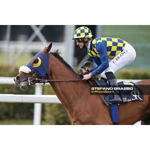 Fabio Branca and Shocking Blu win the 17° Premio Regione Toscana Pisa San Rossore racetrack 20/03/2016 ph.© Stefano Grasso