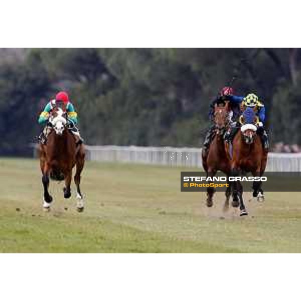 Fabio Branca and Shocking Blu win the 17° Premio Regione Toscana Pisa San Rossore racetrack 20/03/2016 ph.© Stefano Grasso