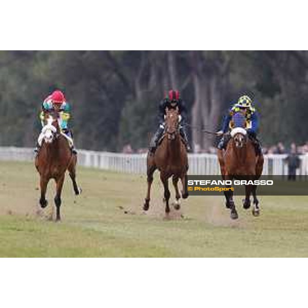 Fabio Branca and Shocking Blu win the 17° Premio Regione Toscana Pisa San Rossore racetrack 20/03/2016 ph.© Stefano Grasso