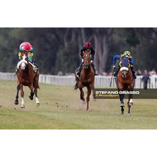 Fabio Branca and Shocking Blu win the 17° Premio Regione Toscana Pisa San Rossore racetrack 20/03/2016 ph.© Stefano Grasso