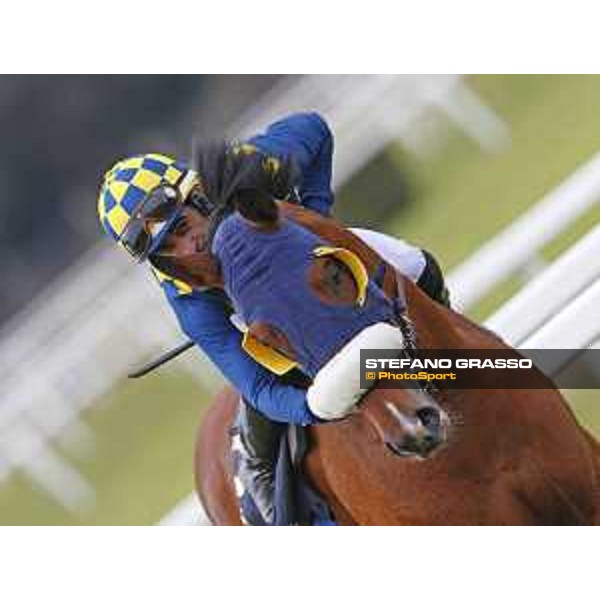 Fabio Branca and Shocking Blu win the 17° Premio Regione Toscana Pisa San Rossore racetrack 20/03/2016 ph.© Stefano Grasso