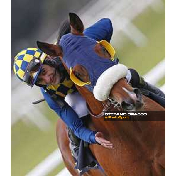 Fabio Branca and Shocking Blu win the 17° Premio Regione Toscana Pisa San Rossore racetrack 20/03/2016 ph.© Stefano Grasso