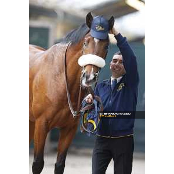 Shocking Blu and his groom Jonathan Bacci after winning the 17° Premio Regione Toscana Pisa San Rossore racetrack 20/03/2016 ph.© Stefano Grasso