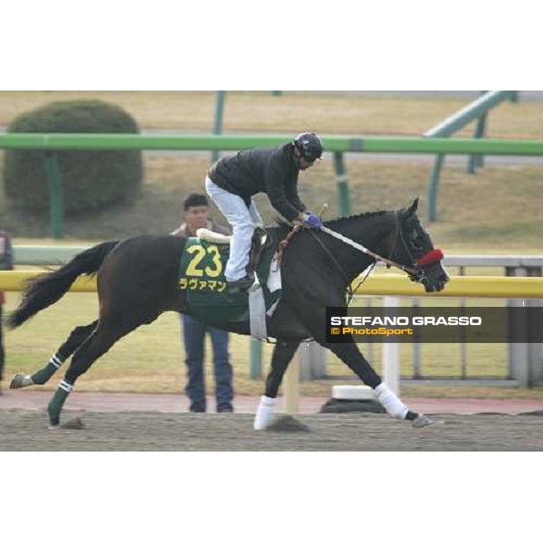 Lava Man during morning track works at Fuchu racetrack. Tokyo, 23rd november 2005 ph. Stefano Grasso