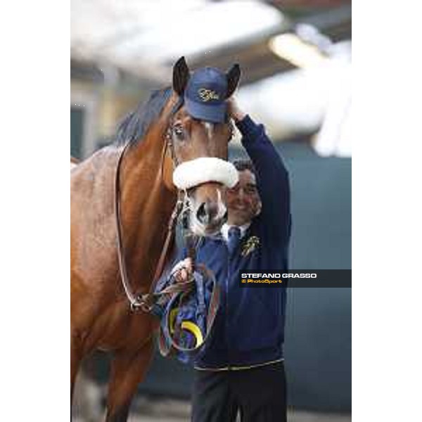 Shocking Blu and his groom Jonathan Bacci after winning the 17° Premio Regione Toscana Pisa San Rossore racetrack 20/03/2016 ph.© Stefano Grasso