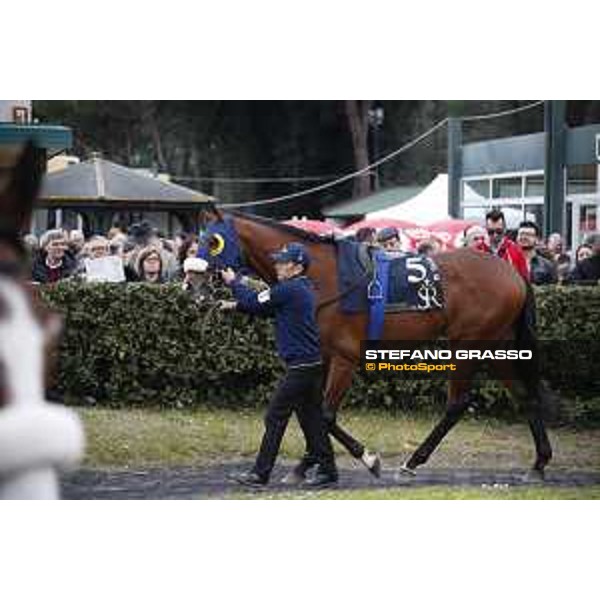 Shocking Blu and his groom Jonathan Bacci after winning the 17° Premio Regione Toscana Pisa San Rossore racetrack 20/03/2016 ph.© Stefano Grasso