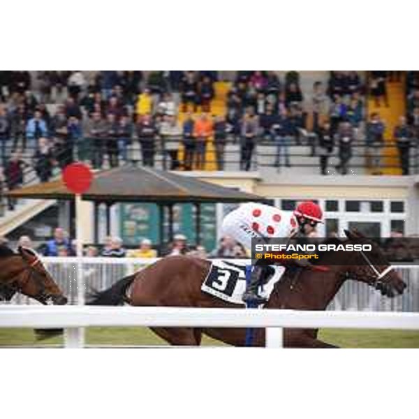 Racing at the 126Â° Premio Pisa Pisa San Rossore racetrack 20/03/2016 ph.Â© Stefano Grasso
