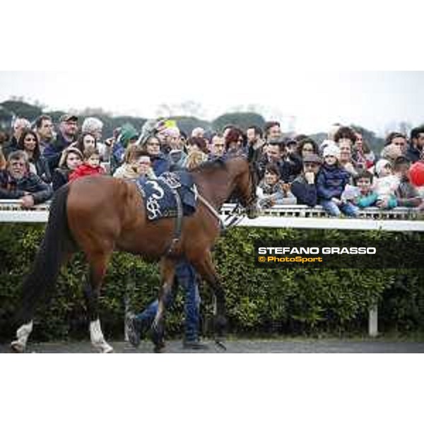 Racegoers at the 126° Premio Pisa Pisa San Rossore racetrack 20/03/2016 ph.© Stefano Grasso
