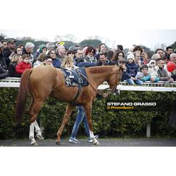 Racegoers at the 126° Premio Pisa Pisa San Rossore racetrack 20/03/2016 ph.© Stefano Grasso