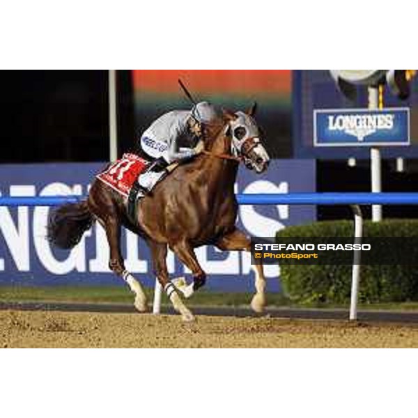 California Chrome with Victor Espinoza up wins the Dubai World Cup Dubai-Meydan racecourse 26th march 2016 ph.Frank Sorge/Grasso