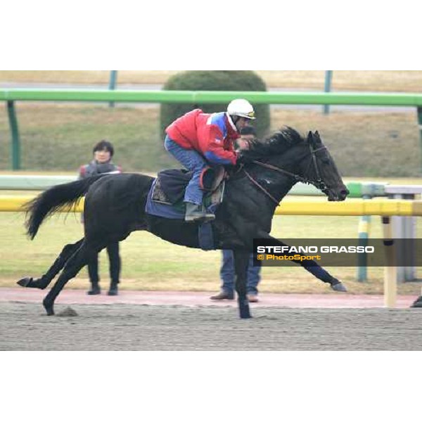 Sebastien Quennesson on Bago during morning track works at Fuchu racetrack. Tokyo, 23rd november 2005 ph. Stefano Grasso