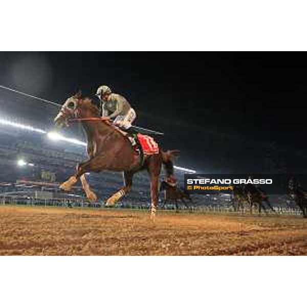 California Chrome with Victor Espinoza up wins the Dubai World Cup Dubai-Meydan racecourse 26th march 2016 ph.Frank Sorge/Grasso