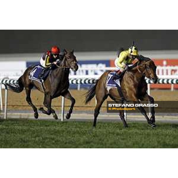 Postponed with Andrea Atzeni up wins the Dubai Sheema Classic. Dubai - Meydan racecourse 26th march 2016 ph.Frank Sorge/Grasso
