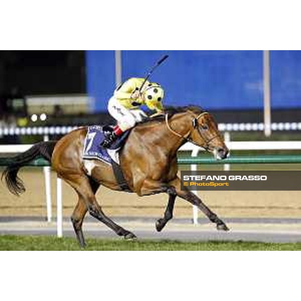 Postponed with Andrea Atzeni up wins the Dubai Sheema Classic. Dubai - Meydan racecourse 26th march 2016 ph.Frank Sorge/Grasso