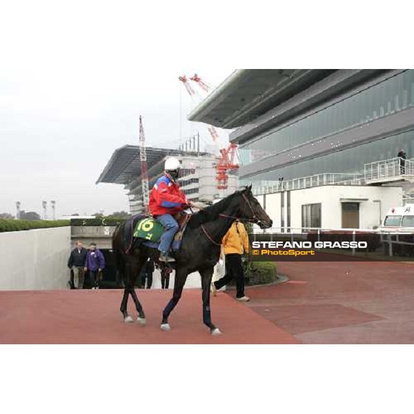 Sebastien Quennesson and Bago with his groom and Alan Cooper, come back to the quarantine stables after monring track works at Fuchu racetrack. Tokyo, 23rd november 2005 ph. Stefano Grasso