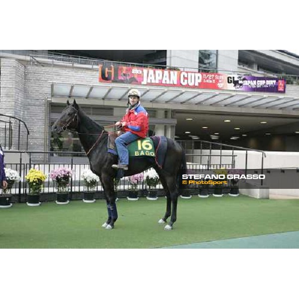 Sebastien Quennesson and Bago pose in the parade ring ofFuchu racetrack. Tokyo, 23rd november 2005 ph. Stefano Grasso