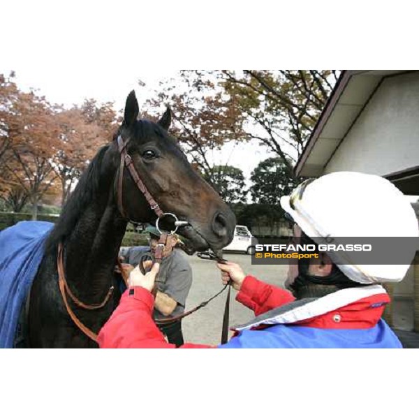 Sebastien Quennesson and Bago in the quarantine stables at Fuchu racetrack. Tokyo, 23rd november 2005 ph. Stefano Grasso