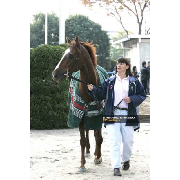 Eccentric and his groom in the quarantine stables at Fuchu racetrack. Tokyo, 23rd november 2005 ph. Stefano Grasso