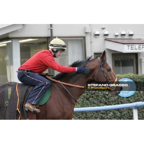 Warssan go to the track for morning track works at Fuchu racetrack. Tokyo, 23rd november 2005 ph. Stefano Grasso