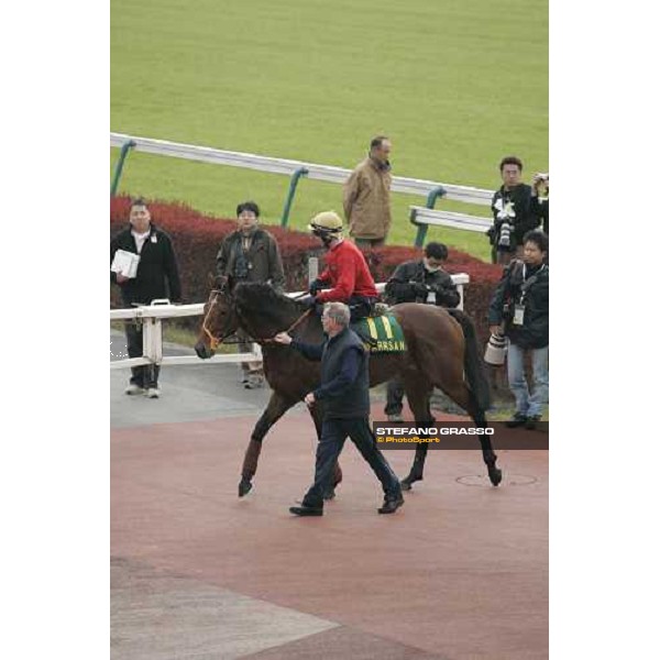 Clive Brittain with Warssan after morning track works at Fuchu racetrack. Tokyo, 23rd november 2005 ph. Stefano Grasso