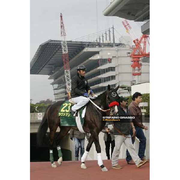 Lava Man comes back after morning track works at Fuchu racetrack. Tokyo, 23rd november 2005 ph. Stefano Grasso