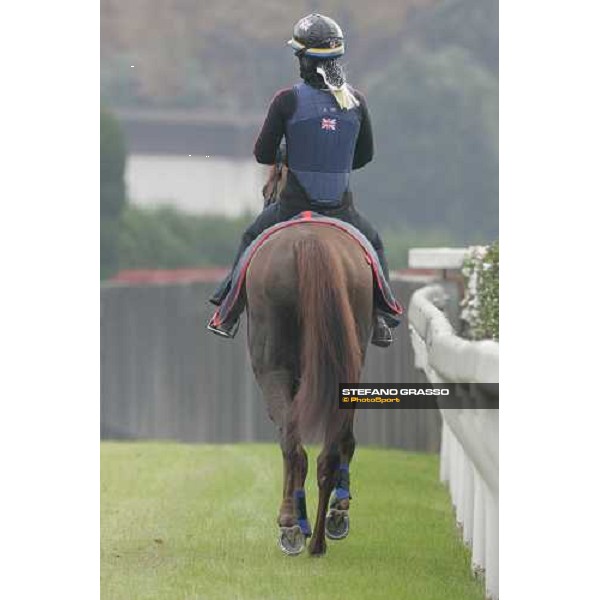 Eccentric comes back after morning track works at Fuchu racetrack. Tokyo, 23rd november 2005 ph. Stefano Grasso