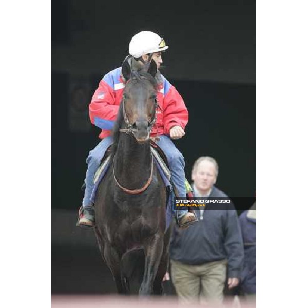 Sebastiene Quennesson and Bago comes back after morning track works at Fuchu racetrack, followed by Niarchos family manager, Alan Cooper Tokyo, 23rd november 2005 ph. Stefano Grasso