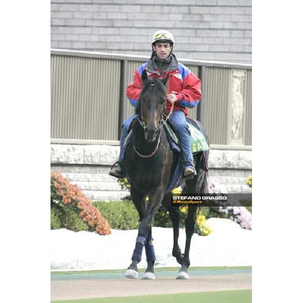 Sebastiene Quennesson and Bago walking in the parade ring after morning track works at Fuchu racetrack Tokyo, 23rd november 2005 ph. Stefano Grasso