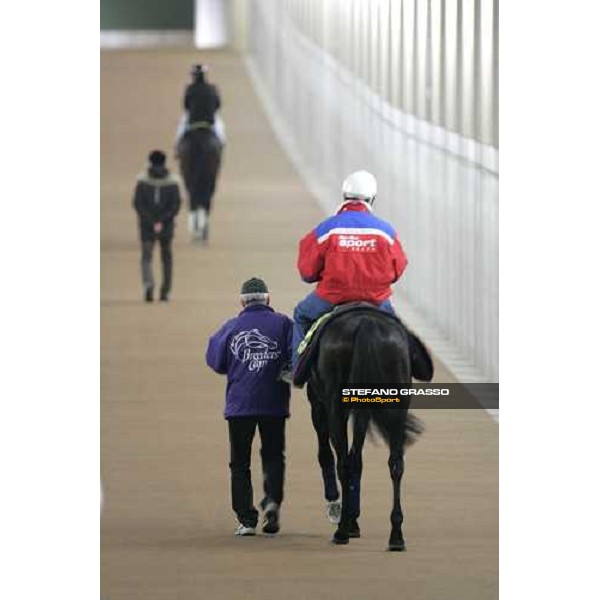 Sebastien Quennesson on Bago comes back to the stable after morning track works at Fuchu racetrack Tokyo, 23rd november 2005 ph. Stefano Grasso