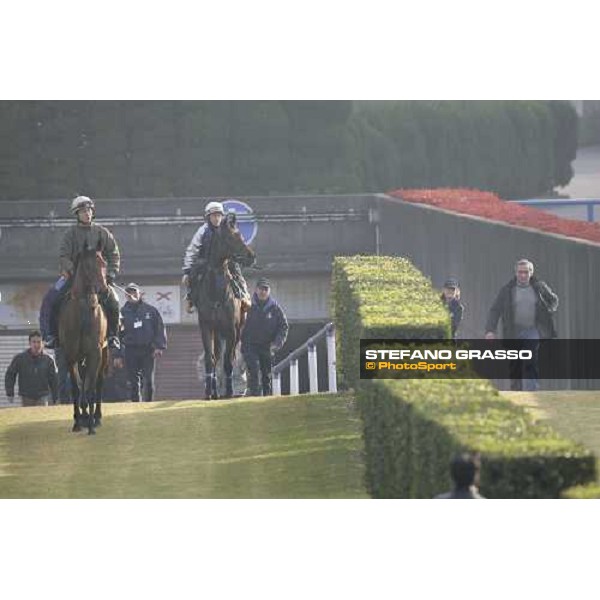 Alkaased followed by Kieren Fallon on Oujia Board with at right Luca Cumani before morning track works at Fuchu race course Tokyo, 24th november 2005 ph. Stefano Grasso