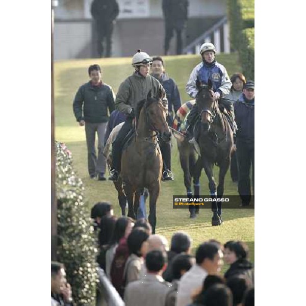 Alkaased followed by Oujia Board at Fuchu race course Tokyo, 24th november 2005 ph. Stefano Grasso