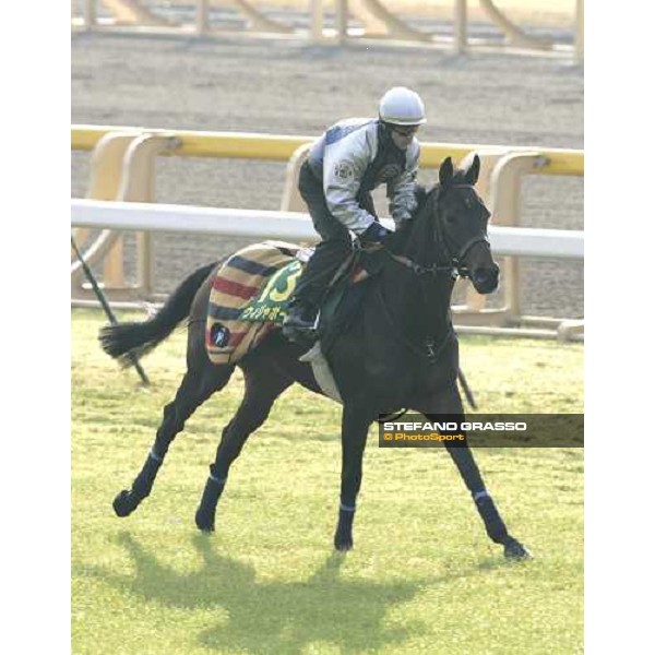 Kieren Fallon on Oujia Board warming up during morning track works at Fuchu race course Tokyo, 24th november 2005 ph. Stefano Grasso