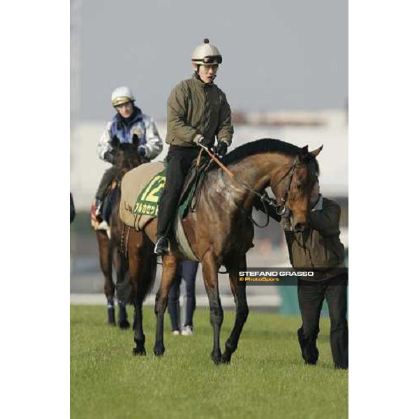 Alkaased after morning track works at Fuchu race course followed by Ouija Board Tokyo, 24th november 2005 ph. Stefano Grasso