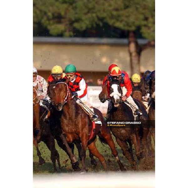 Pisa San Rossore race track march 10 2004 ph. Stefano Grasso