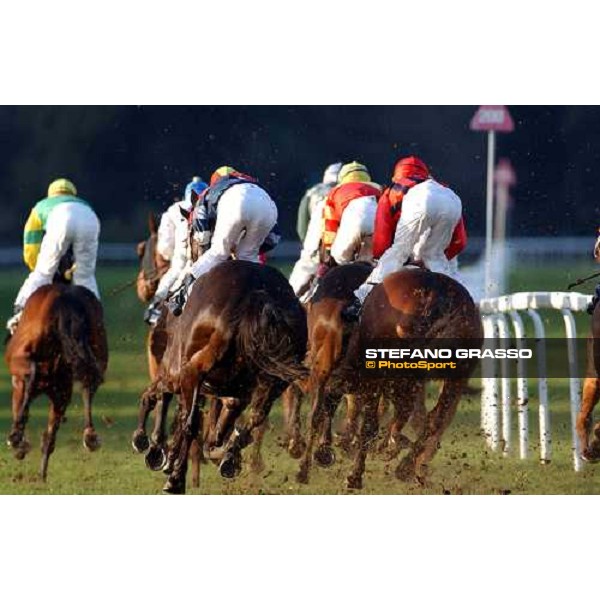 Pisa San Rossore race track march 10 2004 ph. Stefano Grasso