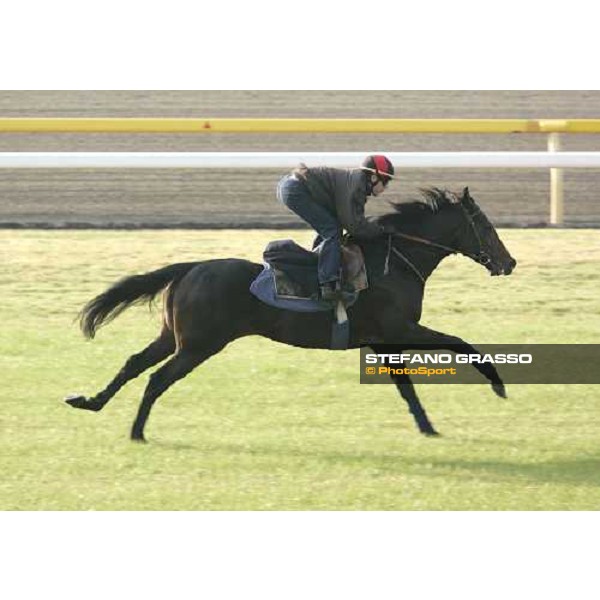 Thierry Gillet on Bago during morning works at Fuchu race course tokyo, 24th november 2005 ph. Stefano Grasso