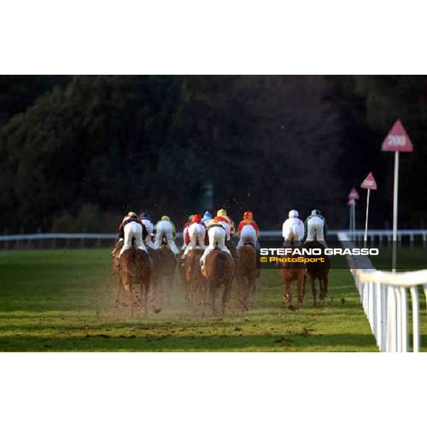 Pisa San Rossore race track march 10 2004 ph. Stefano Grasso