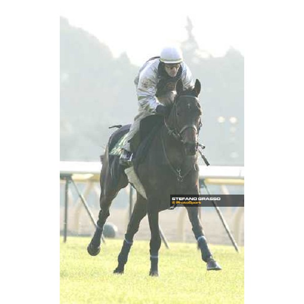 Kieren Fallon on Oujia Board during morning track works at Fuchu race course Tokyo, 25th november 2005 ph. Stefano Grasso